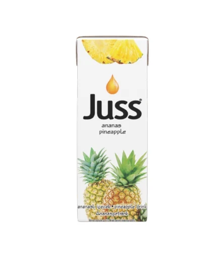 Juss Ananas Meyve Suyu 200 ml