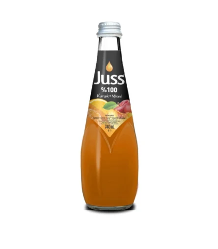 Juss %100 Karışık Meyve 740 ml
